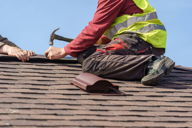 Professional Roofing Contractor in Rosemont, CA